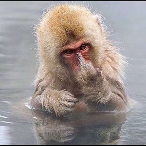 Meet your Posher, Alan